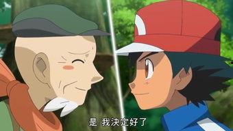 国产动画故事视频大全,经典故事视频大盘点