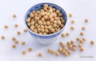 国产大豆的保养方法视频,视频教你轻松延长保质期  第3张
