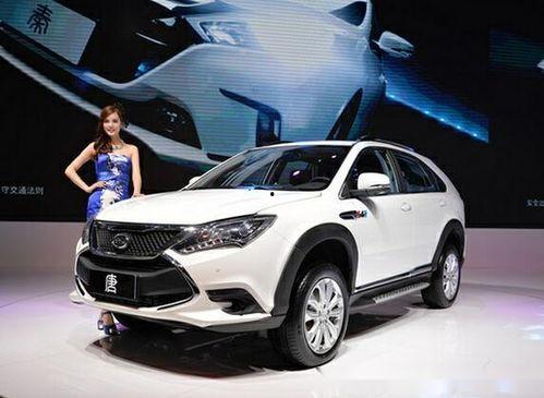 国产车不降价视频,坚守品质与品牌价值