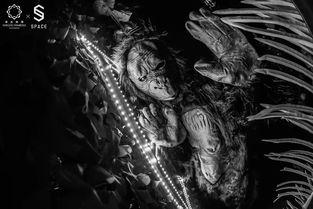 国产异兽觉醒视频,国产异兽震撼登场，探寻古老传说新篇章  第2张