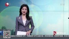 风吟鸟唱国产视频在线  第3张